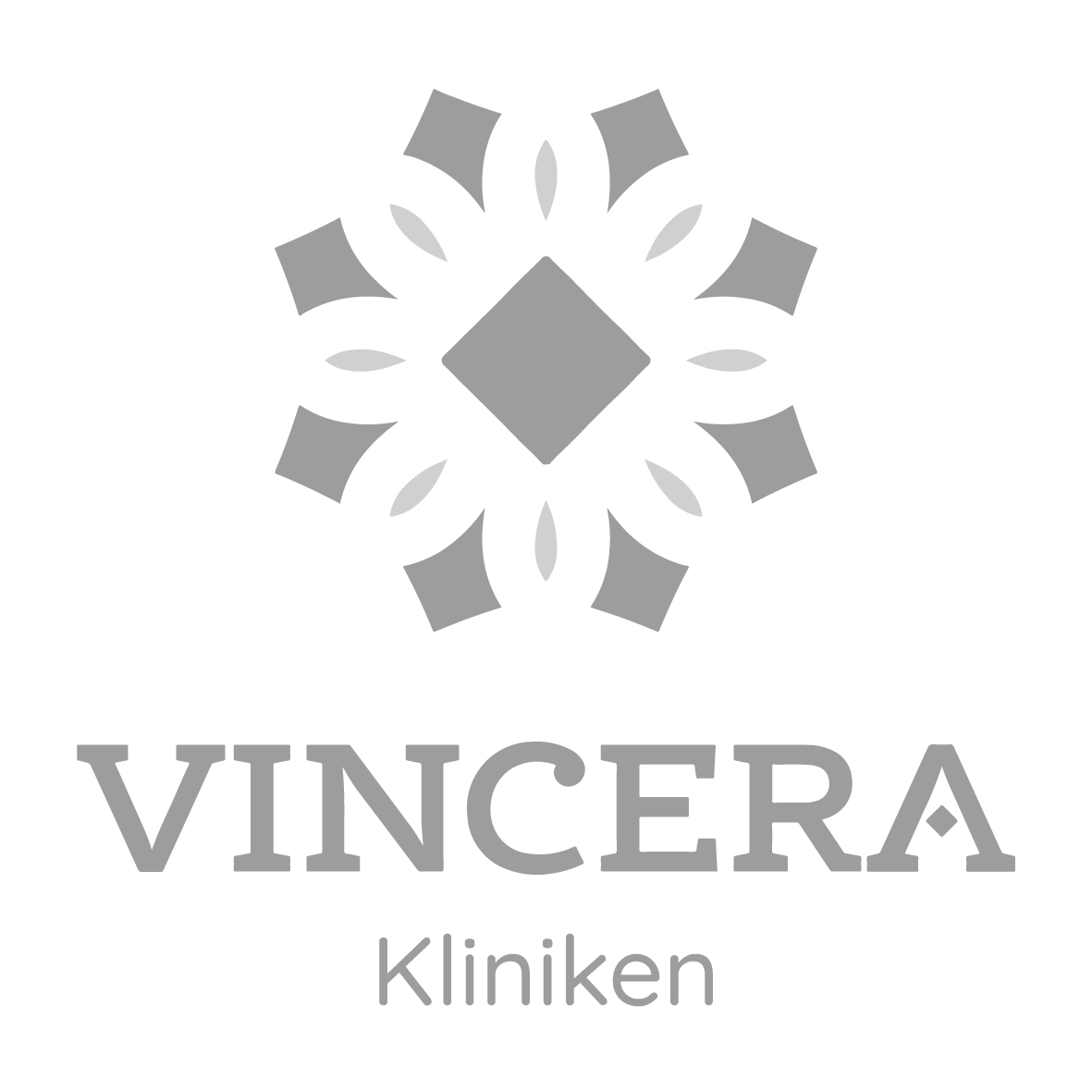 Logo vincera-holding-gmbh bei Jobbörse-direkt.de